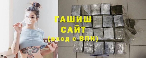 спайс Гусев