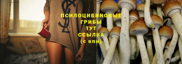 винт Гусиноозёрск