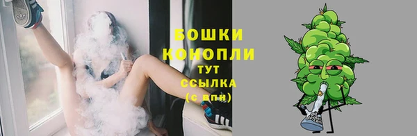 спайс Гусев