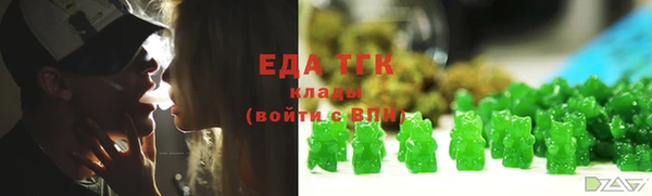 спайс Гусев