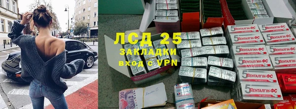 спайс Гусев