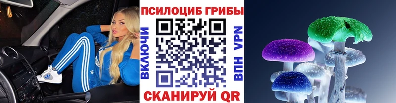 Галлюциногенные грибы Psilocybe  купить наркоту  блэк спрут маркетплейс  Чегем 